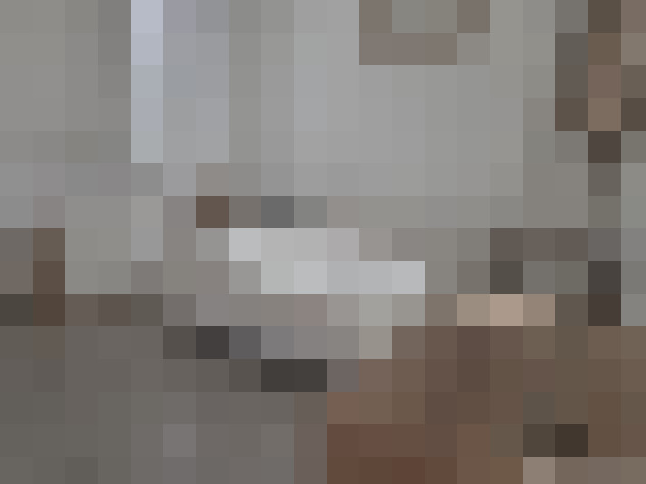  / #12