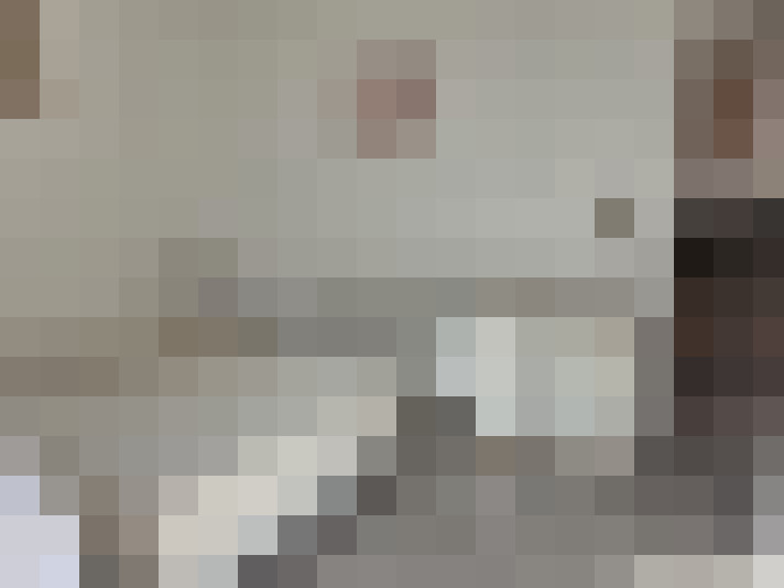  / #13