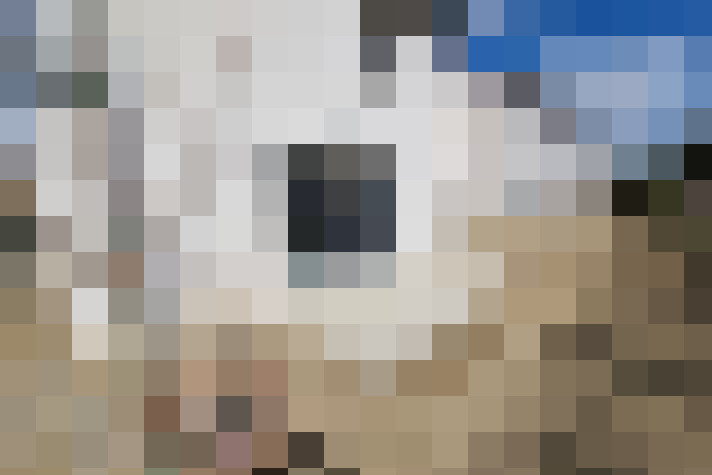  / #7