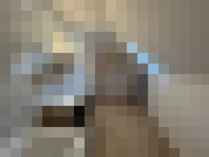  / #14