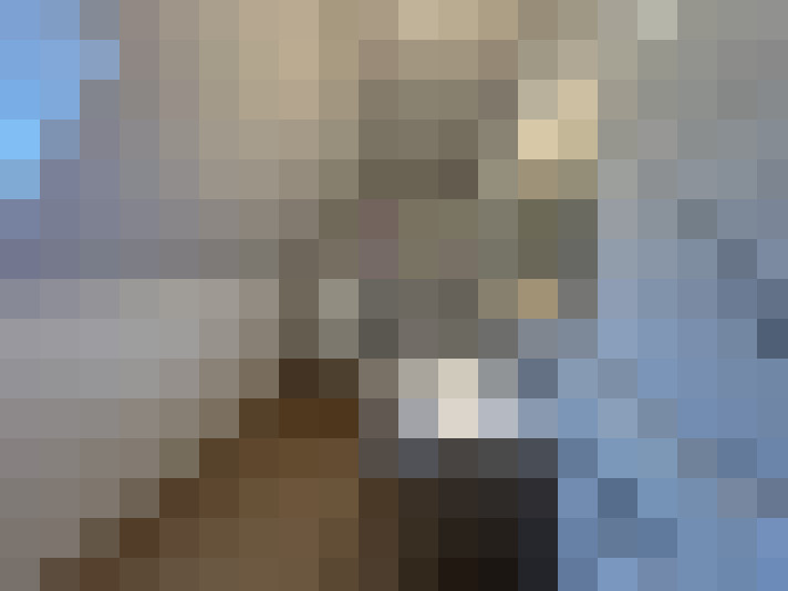  / #15