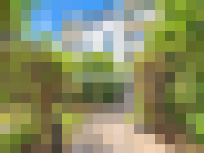  / #12