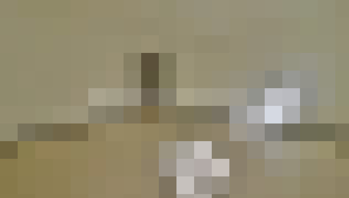  / #12