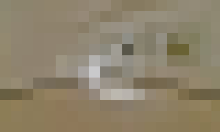  / #14