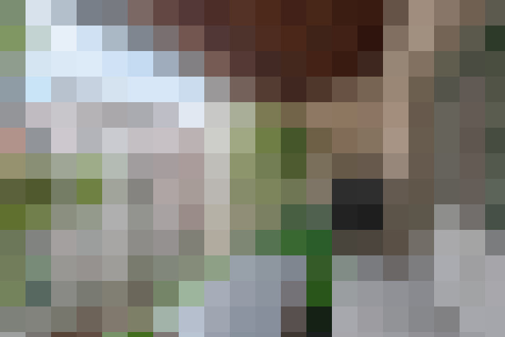  / #17