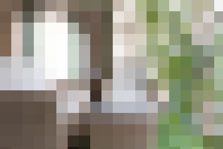 / #15