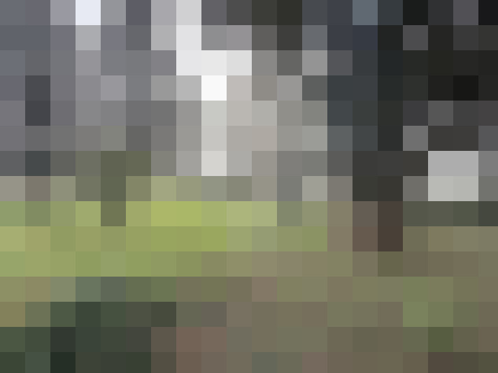  / #16