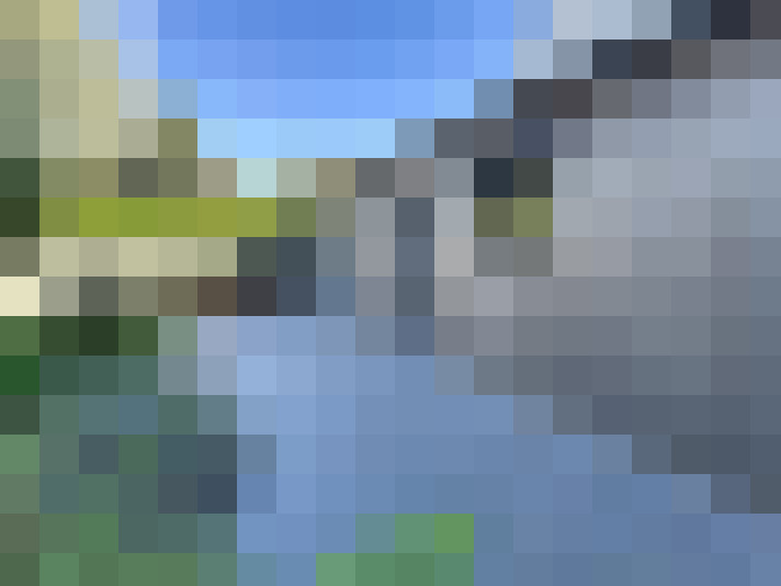  / #7