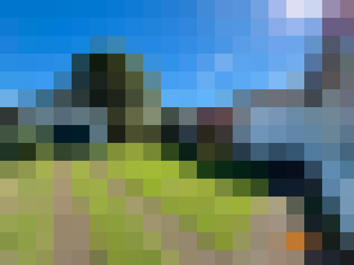  / #14