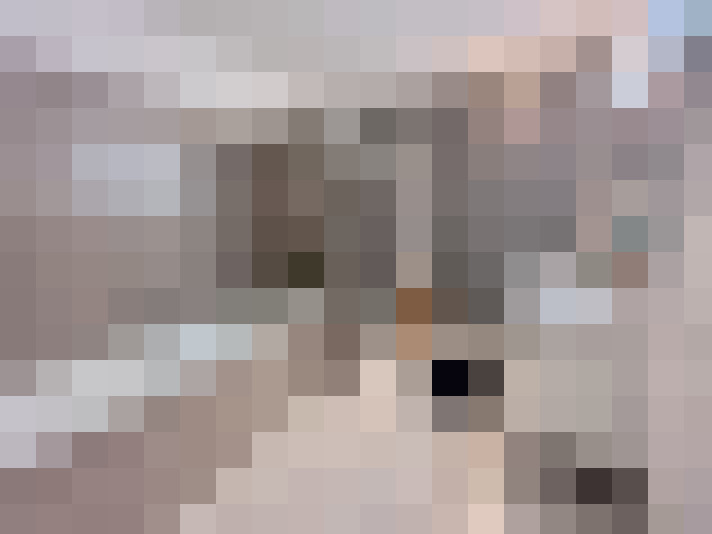  / #8