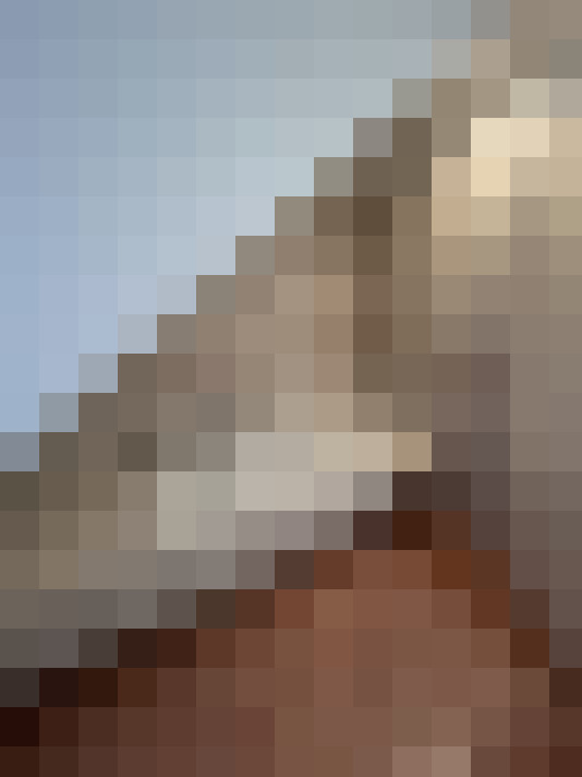  / #14