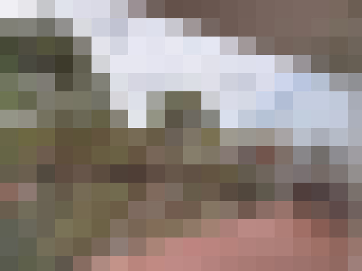  / #6