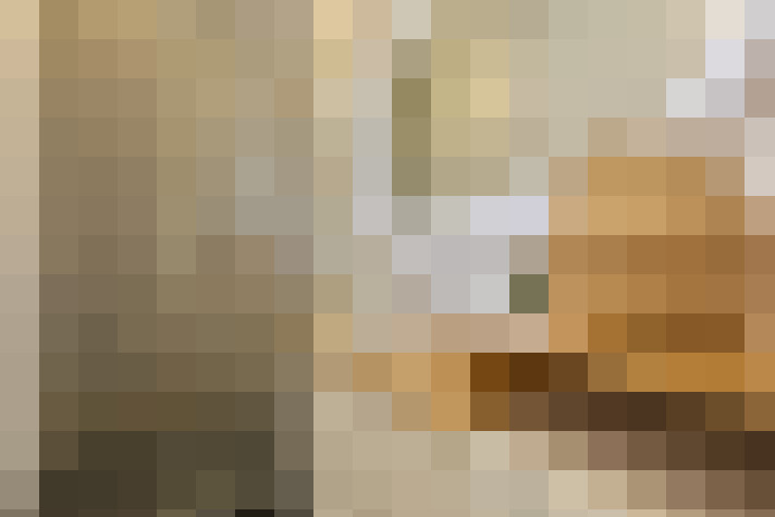  / #19