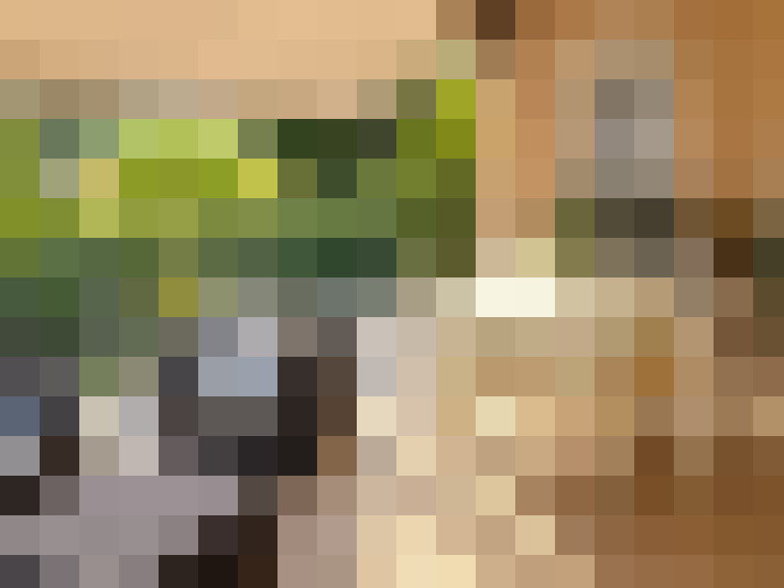  / #15
