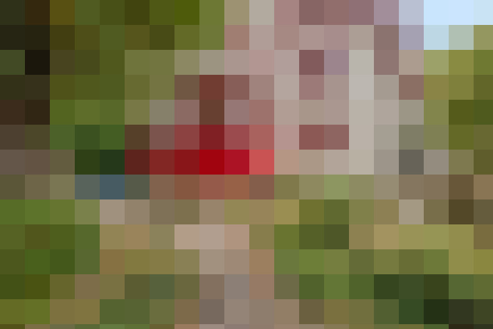  / #23