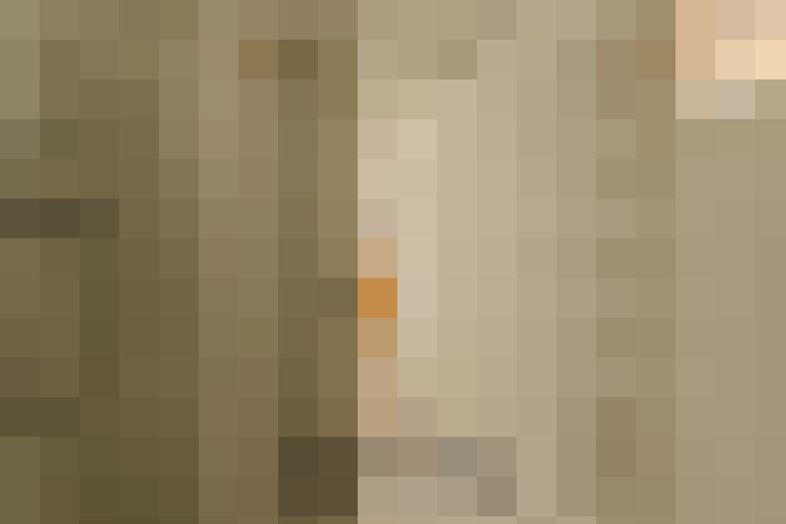 / #21