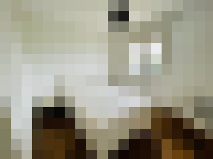  / #8