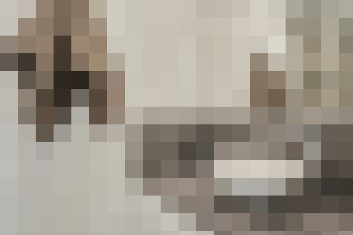  / #19
