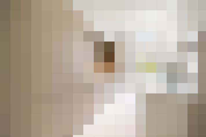 / #12