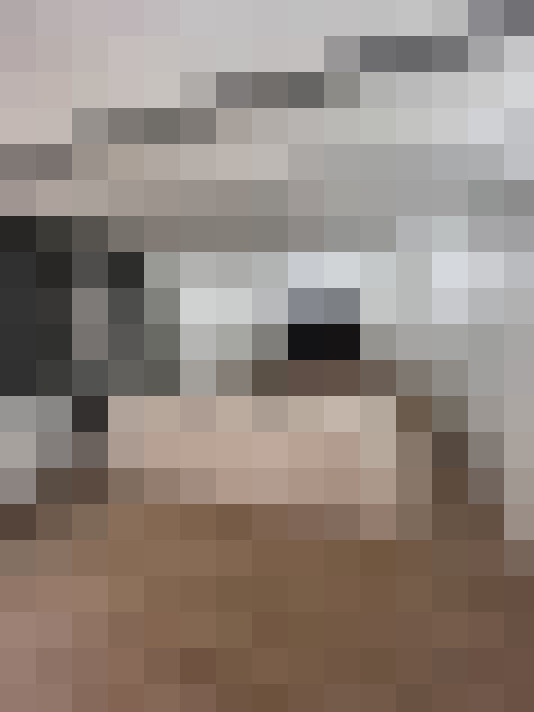  / #15