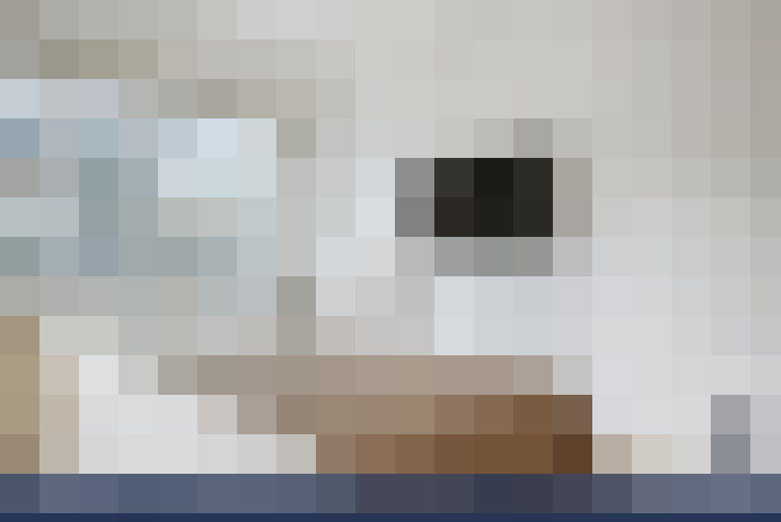  / #23
