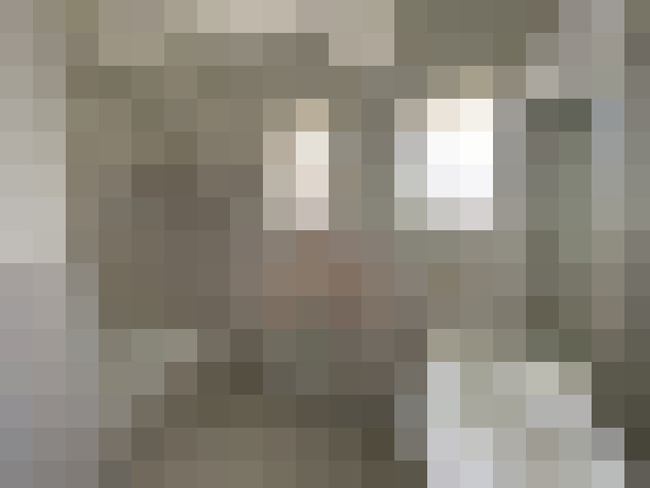  / #19