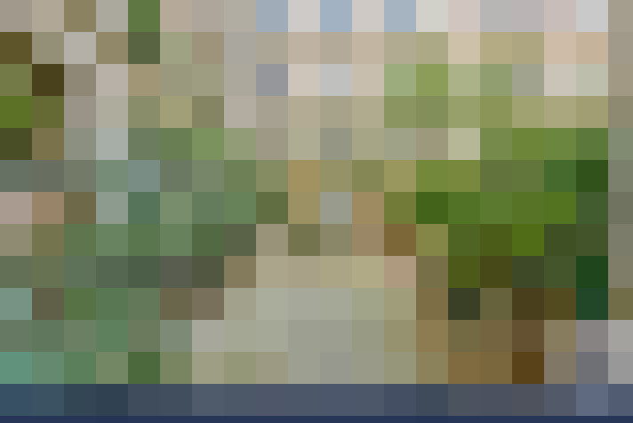  / #16