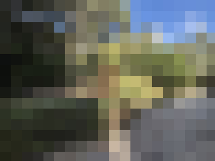  / #7
