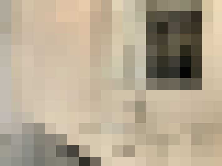  / #23