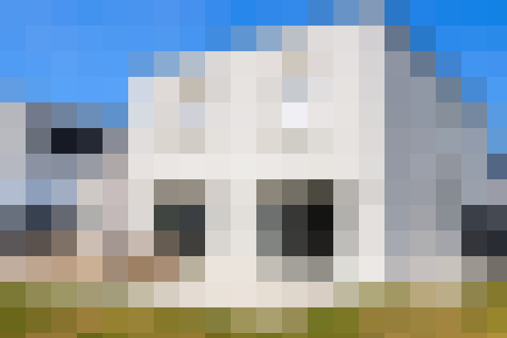  / #6