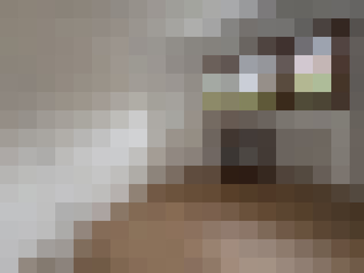  / #11