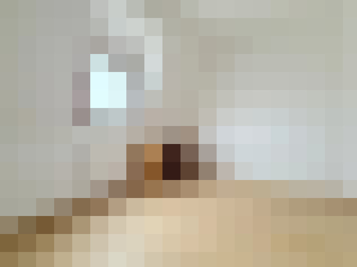  / #11