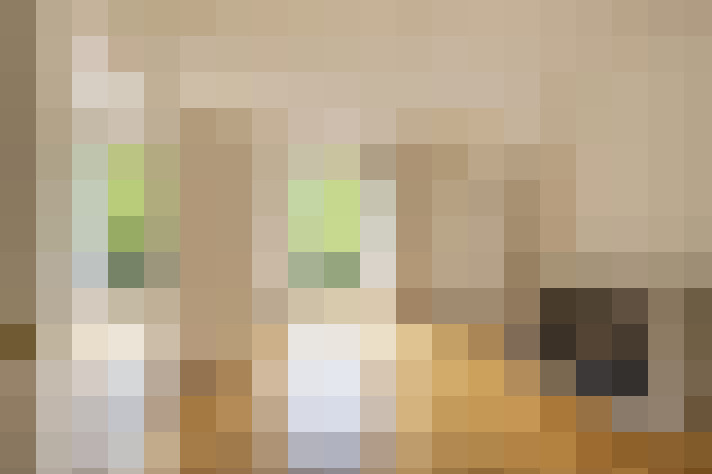  / #8