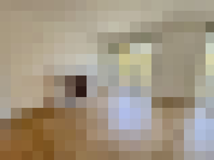  / #11