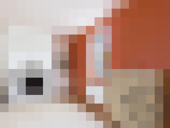  / #10