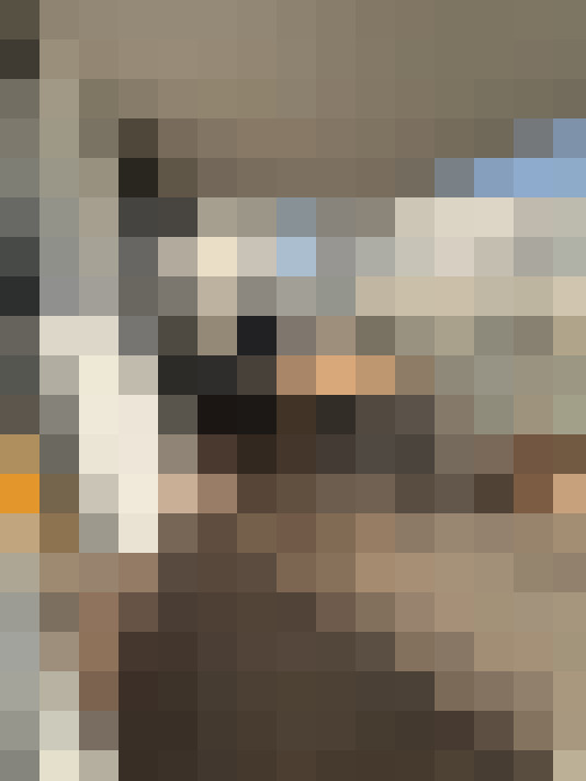  / #17