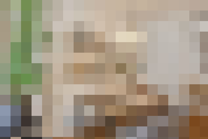  / #11