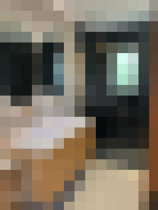  / #7