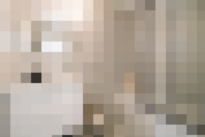  / #21