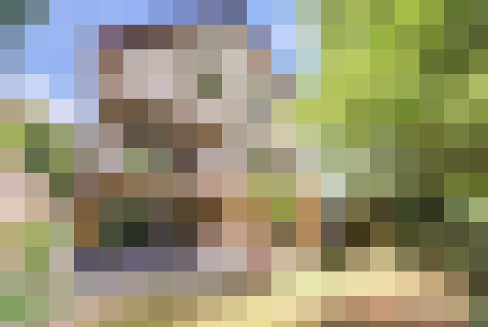  / #18