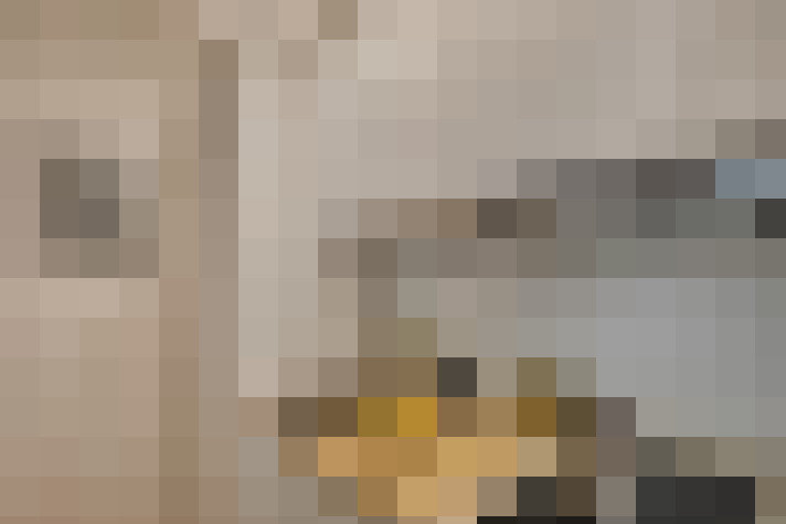  / #12