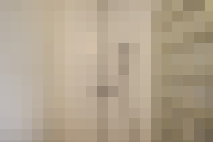  / #19