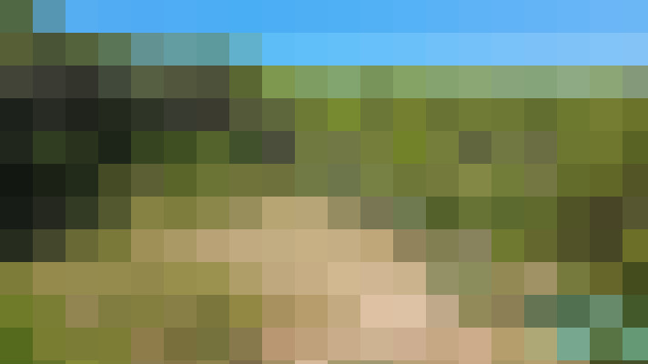  / #18