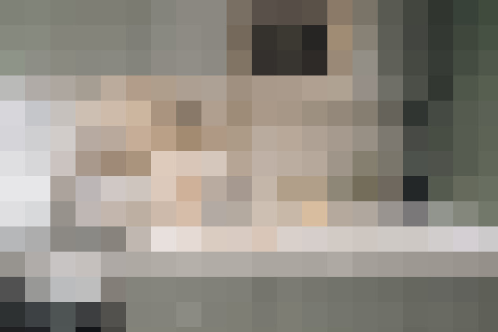  / #13