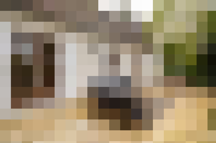  / #18