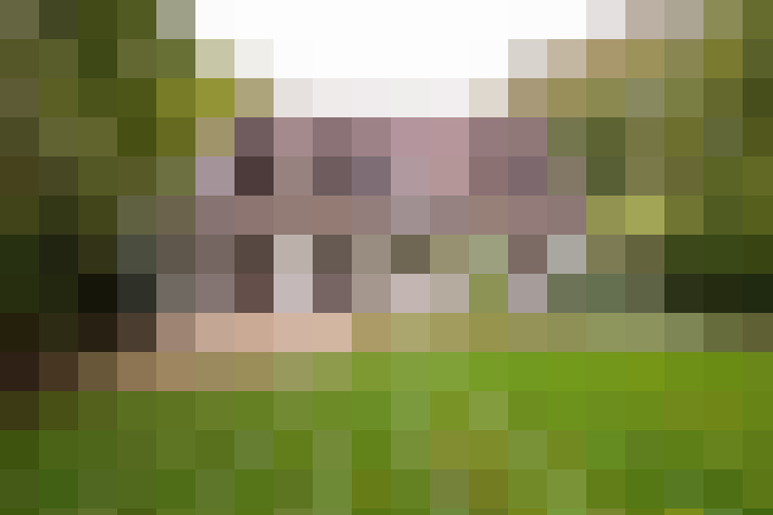  / #21