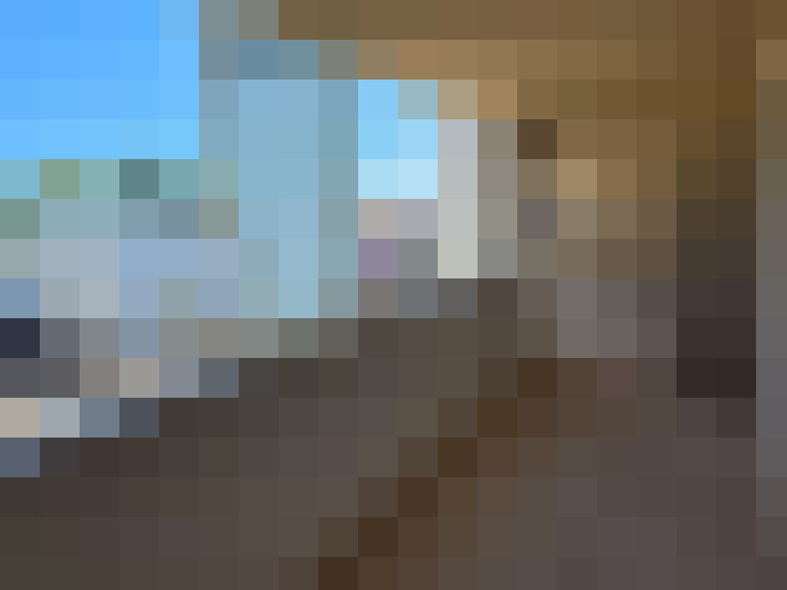  / #8