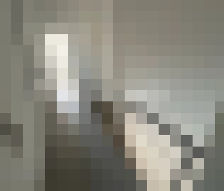  / #16