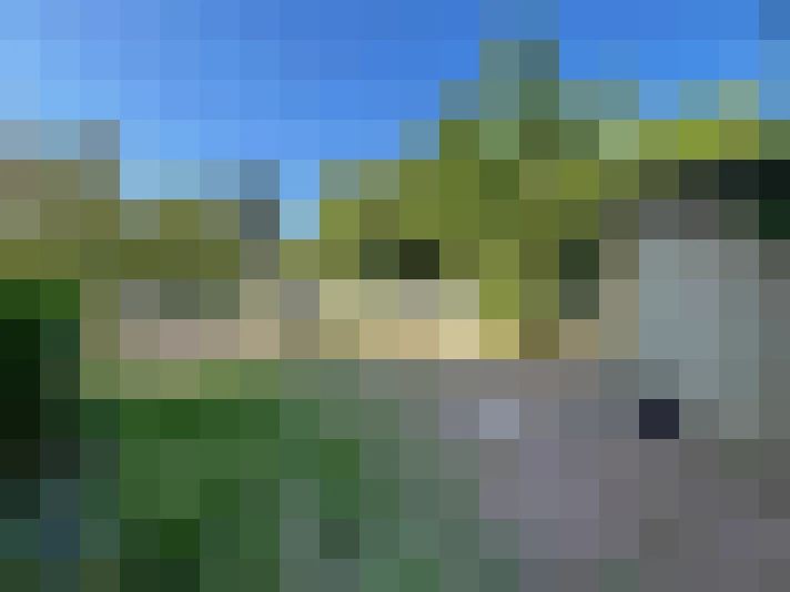  / #17