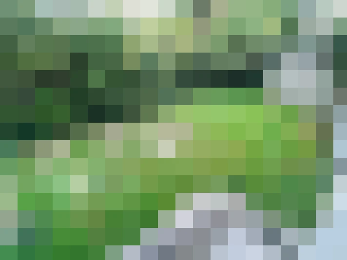  / #7